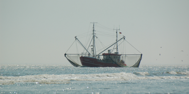 northsea-fisher